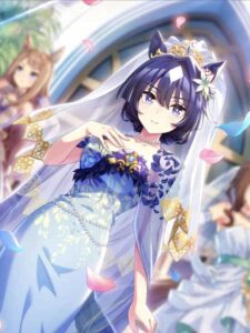 ヴィルシーナ サポカ SSR